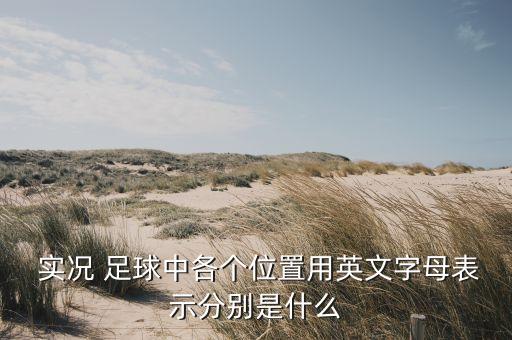 實況 足球中各個位置用英文字母表示分別是什么
