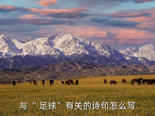 與“ 足球”有關的詩句怎么寫