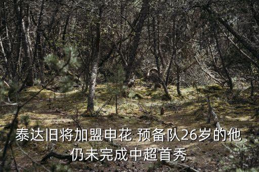 泰達舊將加盟申花 預備隊26歲的他仍未完成中超首秀
