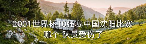 2001世界杯10強賽中國沈陽比賽哪個 隊員受傷了
