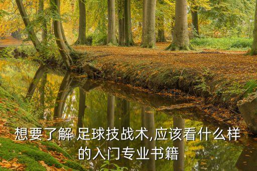 足球陣型助手,足球433陣型解析