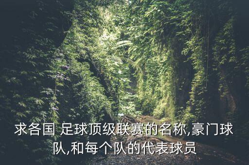 求各國 足球頂級聯(lián)賽的名稱,豪門球隊,和每個隊的代表球員
