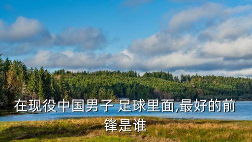 在現(xiàn)役中國(guó)男子 足球里面,最好的前鋒是誰