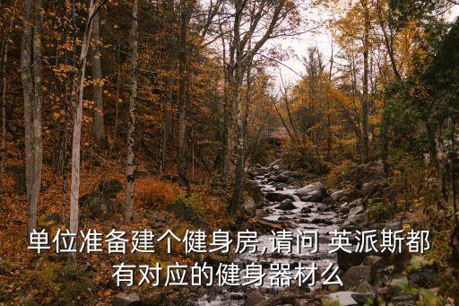 單位準(zhǔn)備建個健身房,請問 英派斯都有對應(yīng)的健身器材么
