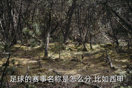  足球的賽事名稱是怎么分,比如西甲