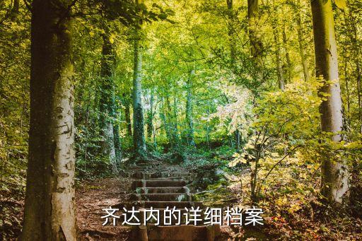  齊達內(nèi)的詳細檔案