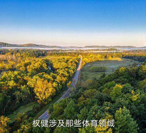 中國(guó)權(quán)健足球?qū)﹃図n國(guó)