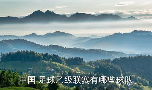 中國 足球乙級聯(lián)賽有哪些球隊(duì)