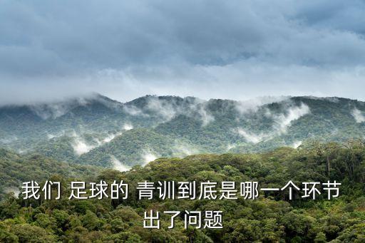 我們 足球的 青訓到底是哪一個環(huán)節(jié)出了問題