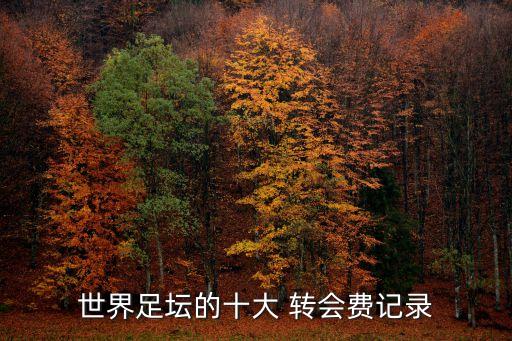 世界足壇的十大 轉(zhuǎn)會(huì)費(fèi)記錄