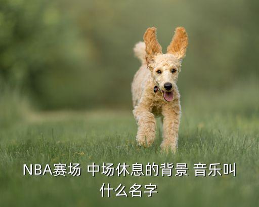 樂(lè)視足球直播 中場(chǎng)音樂(lè),樂(lè)視體育足球直播app