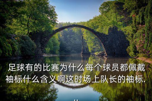  足球有的比賽為什么每個(gè)球員都佩戴袖標(biāo)什么含義啊這時(shí)場(chǎng)上隊(duì)長(zhǎng)的袖標(biāo)...