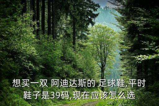 想買一雙 阿迪達(dá)斯的 足球鞋,平時鞋子是39碼,現(xiàn)在應(yīng)該怎么選