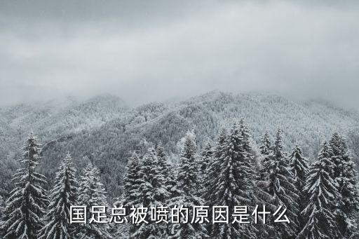 國足總被噴的原因是什么