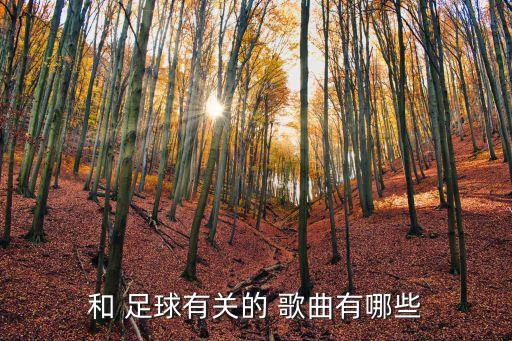 中國(guó)足球戰(zhàn)略歌曲,為中國(guó)足球加油的歌曲