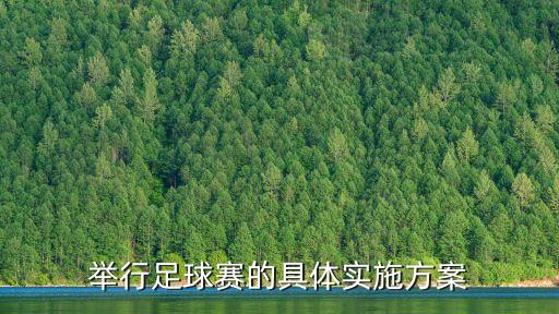 舉行足球賽的具體實(shí)施方案