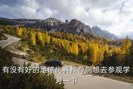 有沒有好的足球比賽推薦啊想去參觀學習一下