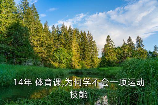 14年 體育課,為何學(xué)不會(huì)一項(xiàng)運(yùn)動(dòng)技能