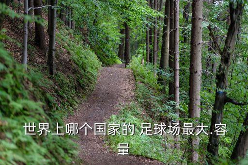 世界上最大的足球場排名