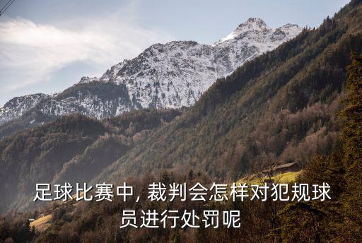  足球比賽中, 裁判會(huì)怎樣對犯規(guī)球員進(jìn)行處罰呢