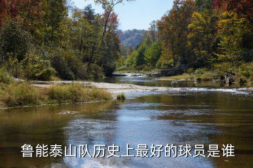 山東魯能泰山足球俱樂(lè)部