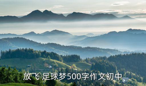 放飛 足球夢500字作文初中