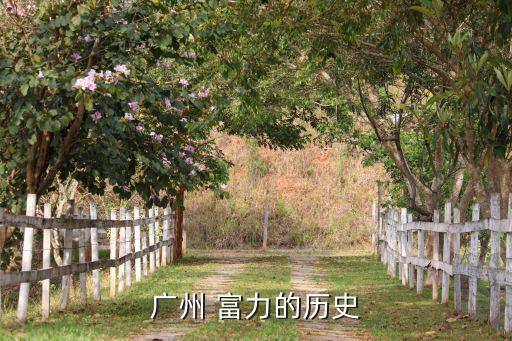 廣州 富力的歷史
