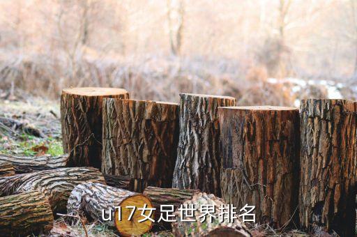 u17女足世界排名