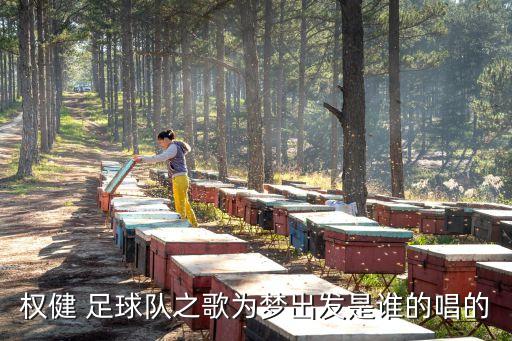 權(quán)健 足球隊之歌為夢出發(fā)是誰的唱的