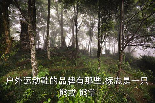 戶外運(yùn)動(dòng)鞋的品牌有那些,標(biāo)志是一只熊或 熊掌