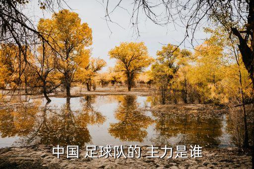中國(guó) 足球隊(duì)的 主力是誰(shuí)