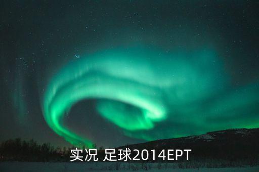  實(shí)況 足球2014EPT