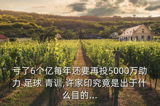 虧了6個億每年還要再投5000萬助力 足球 青訓,許家印究竟是出于什么目的...
