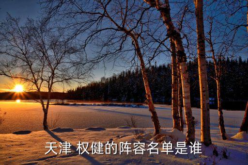 天津 權(quán)健的陣容名單是誰