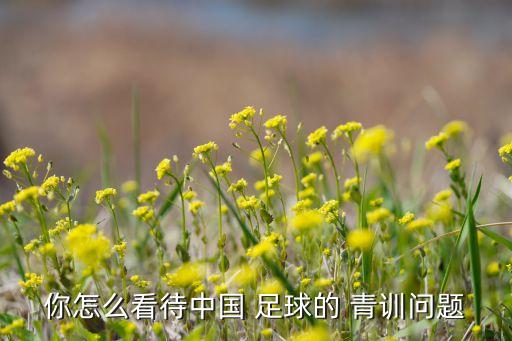 你怎么看待中國(guó) 足球的 青訓(xùn)問題