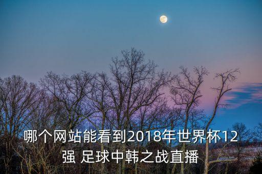 哪個網(wǎng)站能看到2018年世界杯12強 足球中韓之戰(zhàn)直播