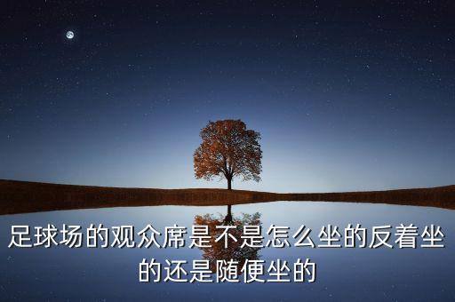 足球場的觀眾席是不是怎么坐的反著坐的還是隨便坐的