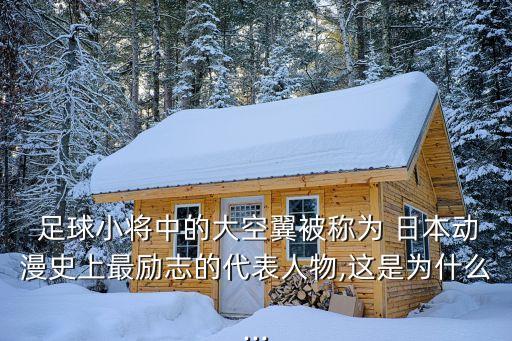  足球小將中的大空翼被稱為 日本動(dòng)漫史上最勵(lì)志的代表人物,這是為什么...