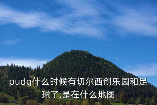 大慶足球隊,大慶外國語學校足球隊