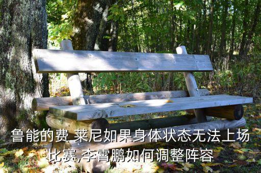 魯能的費(fèi) 萊尼如果身體狀態(tài)無(wú)法上場(chǎng)比賽,李霄鵬如何調(diào)整陣容