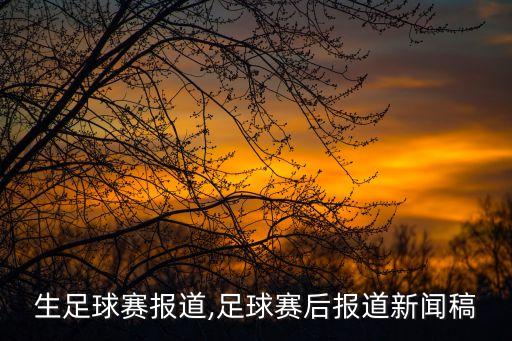 中學(xué)生足球賽報(bào)道,足球賽后報(bào)道新聞稿
