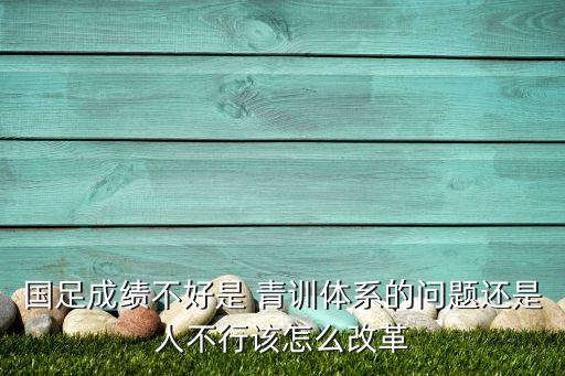 足球青訓(xùn)影響,德國(guó)足球青訓(xùn)