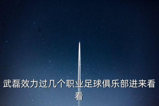 武磊效力過幾個職業(yè)足球俱樂部進來看看