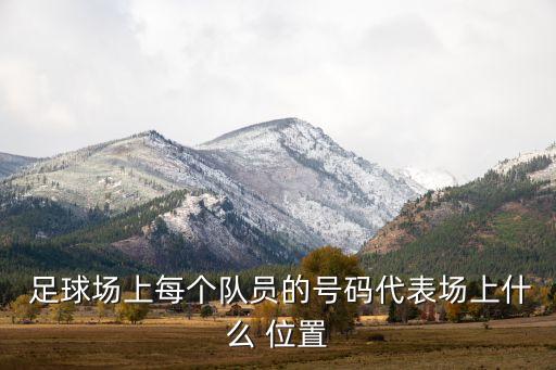  足球場(chǎng)上每個(gè)隊(duì)員的號(hào)碼代表場(chǎng)上什么 位置