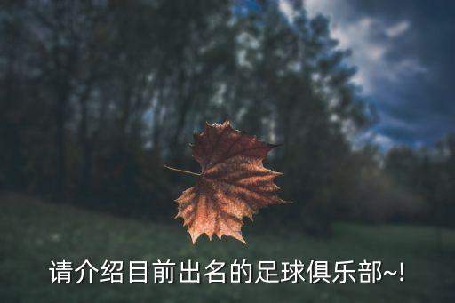 請(qǐng)介紹目前出名的足球俱樂部~!