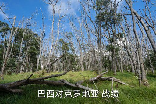 北控足球比賽最新戰(zhàn)績(jī),巴西與阿根廷足球比賽戰(zhàn)績(jī)