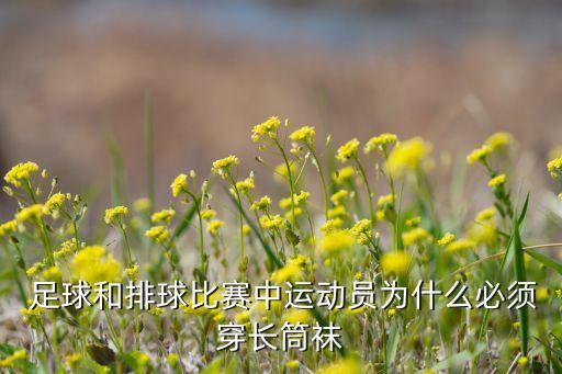  足球和排球比賽中運(yùn)動(dòng)員為什么必須穿長(zhǎng)筒襪