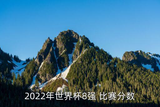 2022年世界杯8強(qiáng) 比賽分?jǐn)?shù)