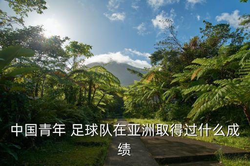 中國青年 足球隊(duì)在亞洲取得過什么成績