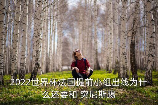突尼斯隊足球隊?wèi)?zhàn)術(shù)